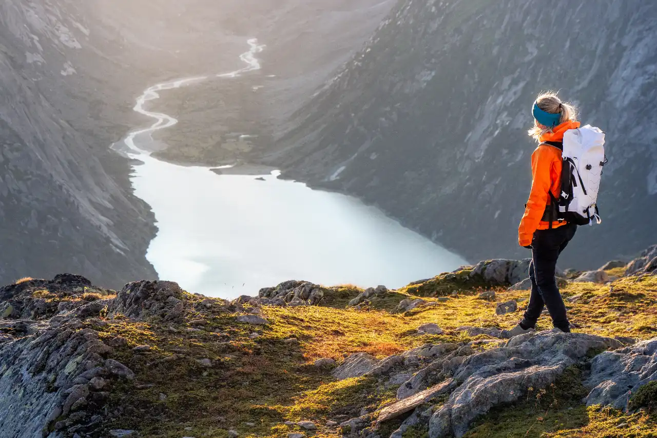 Holger Laubenthal, CEO